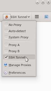 how to use proxy switchysharp